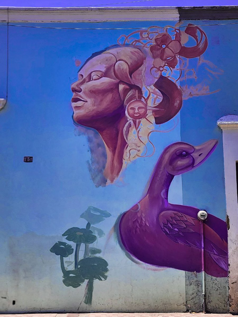 CamaraPersp's tweet photo. “El dolor te dejará, cuando lo dejes ir”. #JA
📍 Guadalajara, Jalisco
#Murales #ArteUrbano
#Art #streetart #streetartphoto #graffiti #graffitiart #Photography #gaffitis #Creativity #MultiColored https://t.co/W8J5HIMUQX