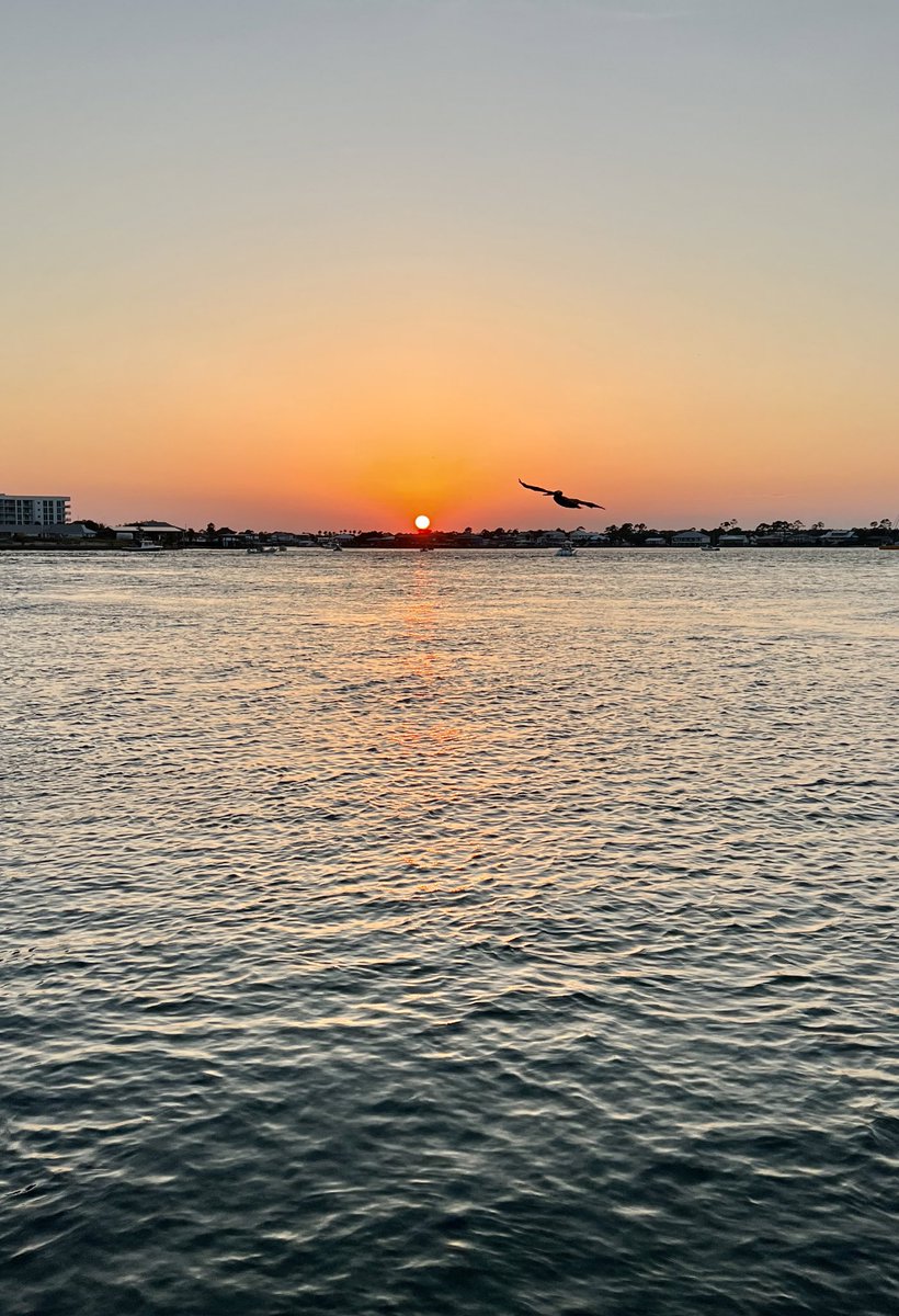 coach_prewettAU's tweet photo. Hard to beat a south Alabama orange and blue sunset. #WarEagle https://t.co/bwZifccav8