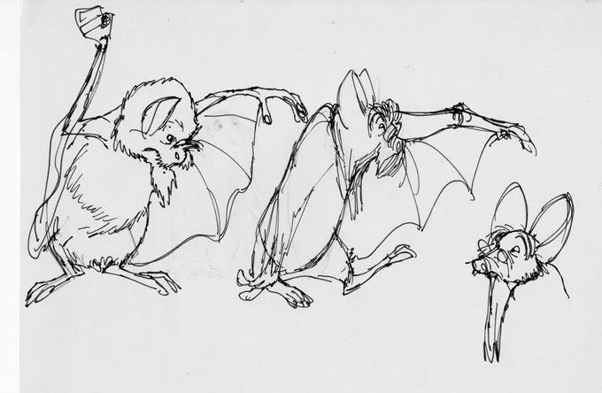 Found some old Nimh model sheets of an unused character called Brother Bartholamew. I love the takes on his hand-wings. 