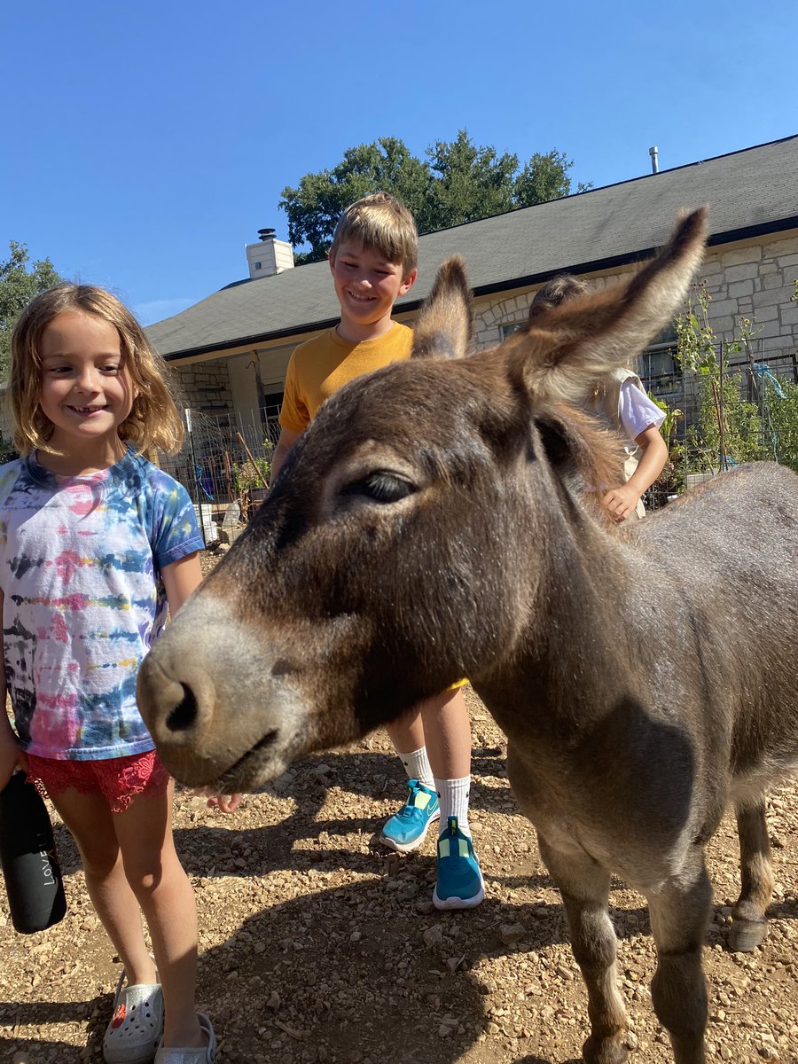 Well our favorite little happy campers we’re back this week and did we have fun! 

The kids from Camp 512 ATX got to feed Silo the Tortoise, give donkeys treats, pet the lambs and baby goats, and hold chickens! 

The two groups that came through this week were just as adventurous