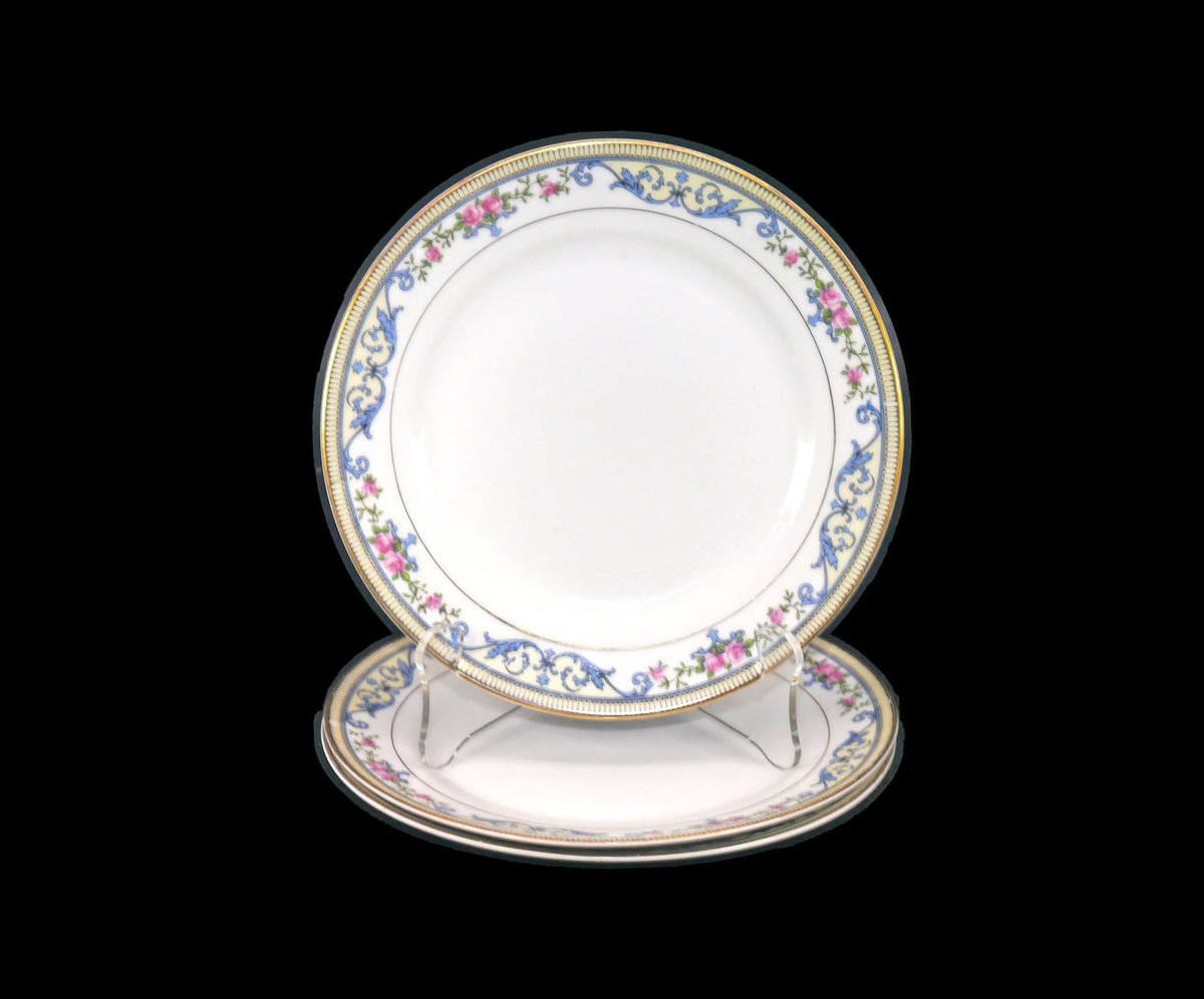 G97816960Girl's tweet photo. Morimura Noritake hand-painted Nippon Chanlake salad plates. https://t.co/Y6gSrR09qB via @Etsy #BuyfromGroovy #antiqueshop #tableware #vintagetableware #dinnerware #Nippon #Noritake #Morimura #MorimuraChanLake #NoritakeChanLake #handpaintedNippon #EtsySellers https://t.co/1HoICLOMPW