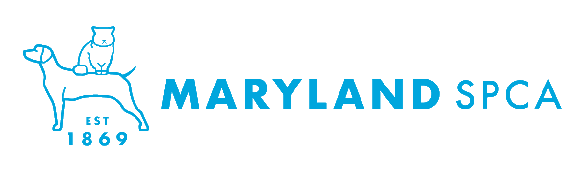 Save the Date! Calling all dog lovers on Sat. 8/26, 11am-5pm for a fun filled day of food, music, vendors and more! Visit our website for more details