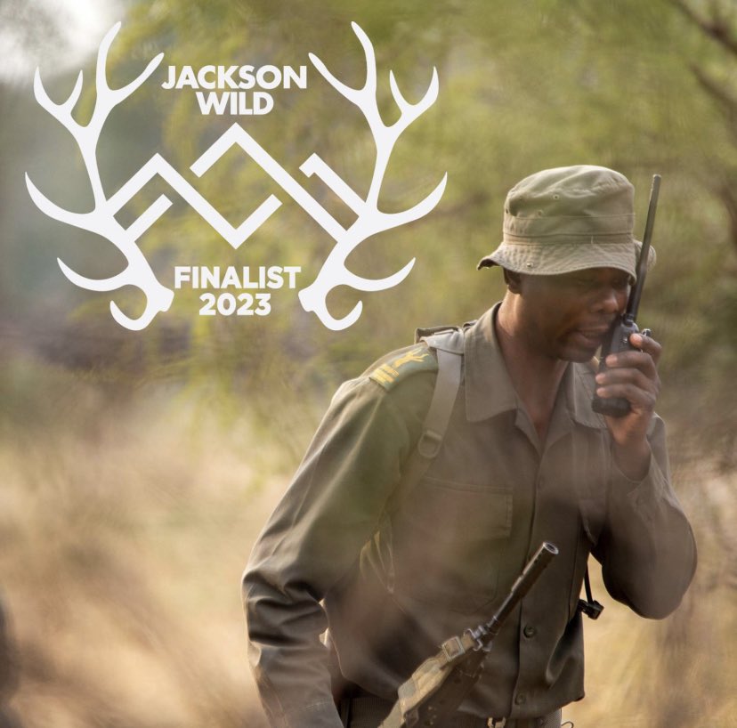 Roulette Pictures tweet media