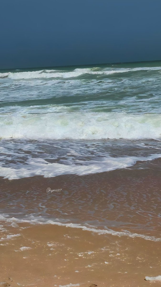 ما اشتقتوا تصويري 😜؟

زيارتي الجميلةُ للأشخرة🌊💜.
#تصويري