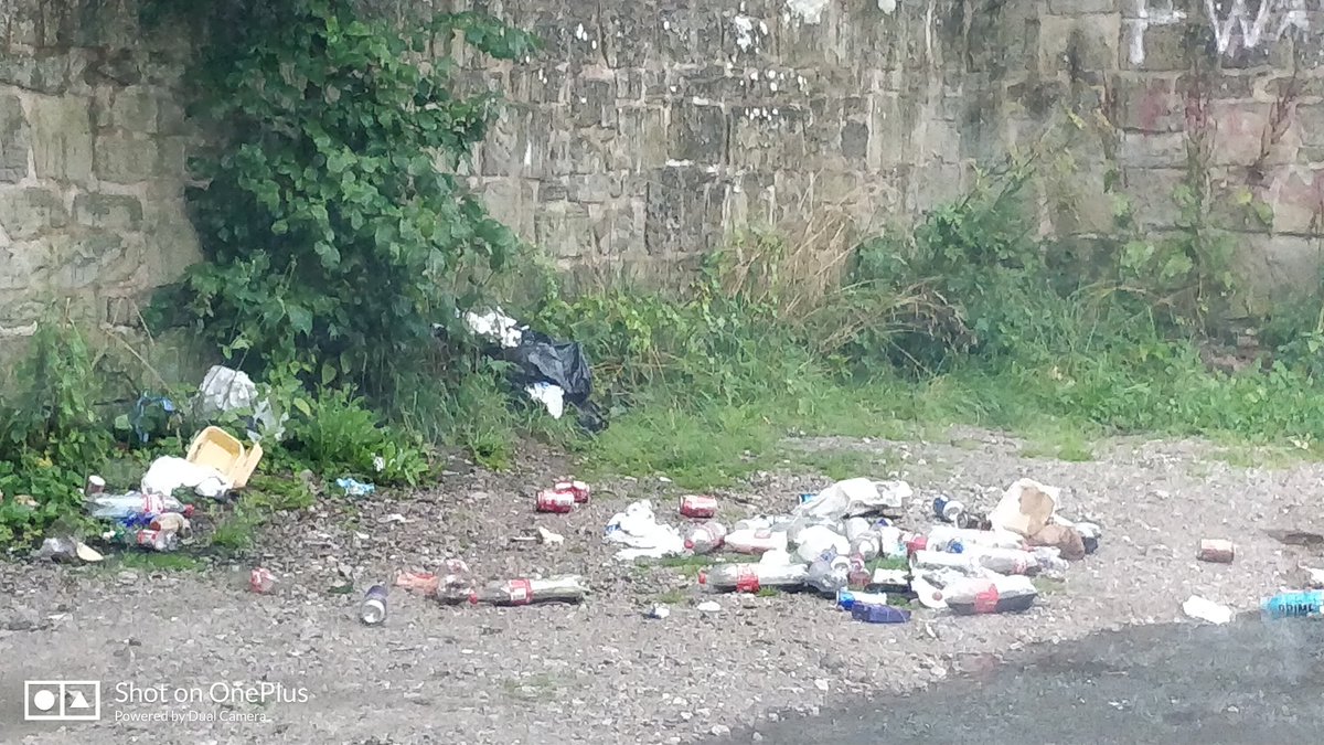SpottedWrexham's tweet image. Some people disgust me. #Nantmill