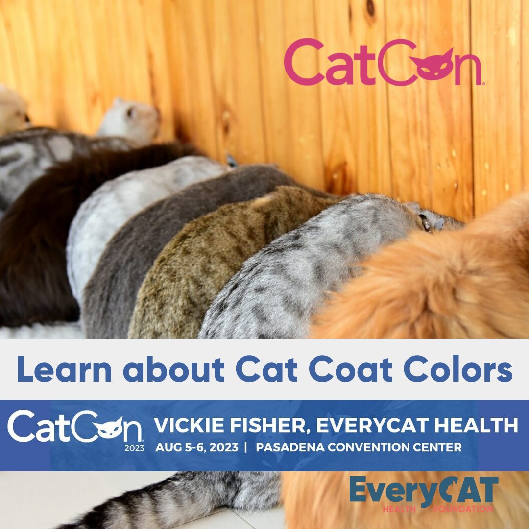 A colorful, fun, workshop on Cat Genetics '101', describing the fundamentals of identifying cat colors and patterns. Led by Vickie Fisher, President, EveryCat Health Foundation 11:30 AM Saturday and 1:30 PM Sunday on the Kitty Coliseum Workshop Stage, only at CatCon!