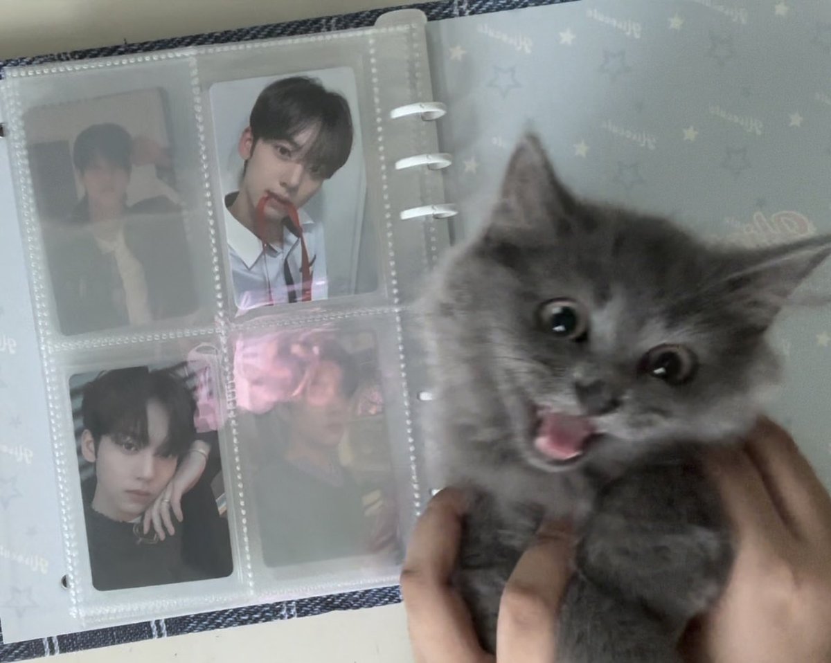 gaonwook's tweet photo. _💌

hello po @milsbuys nakauwi na po yujin namil at napangiti mo po pusa ko 😹 

#milsproofs https://t.co/Z5HmI6wSA7