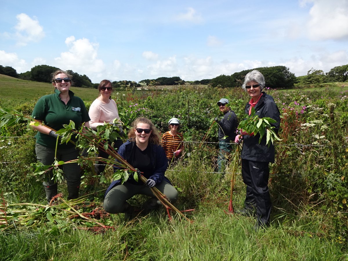 Solent and Sussex FBG Team tweet media