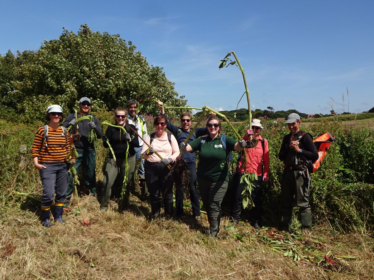 We've been busy this summer in FBG (1/3). At the start of July, we joined up with <a href="/NaturalEngland/">Natural England</a> colleagues and the <a href="/HantsIWWildlife/">Hampshire & Isle of Wight Wildlife Trust</a> on a Himalayan balsam pull in the New Forest. 

Learn more about this invasive non-native species: nonnativespecies.org/non-native-spe…

#TeamFBG <a href="/EnvAgencySE/">Environment AgencySE</a>