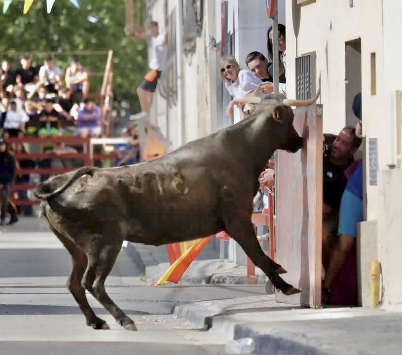 Cubriendo el encierro 🐮 en las fiestas de Villanueva a pie de calle…, que cerca estuvo…😅😅😅
Me las daba felices…, y hubo sustito 🤣🤣🤣

📸 foto del sustito: @disparosjm