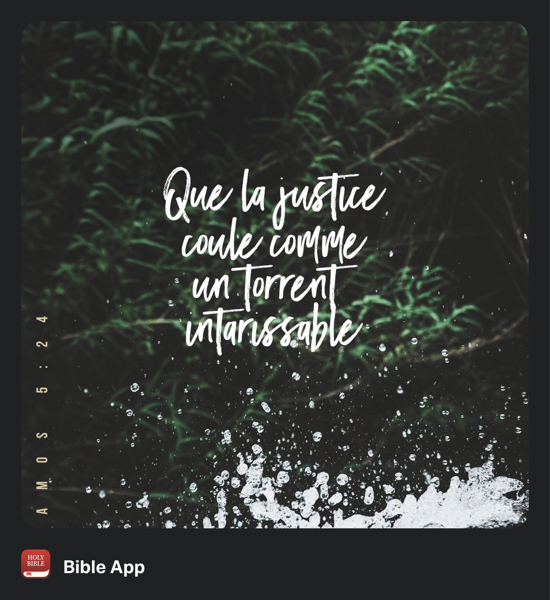 _Sanyxx_'s tweet photo. ✨Verset du jour ✨ https://t.co/ooNwWKaTlJ