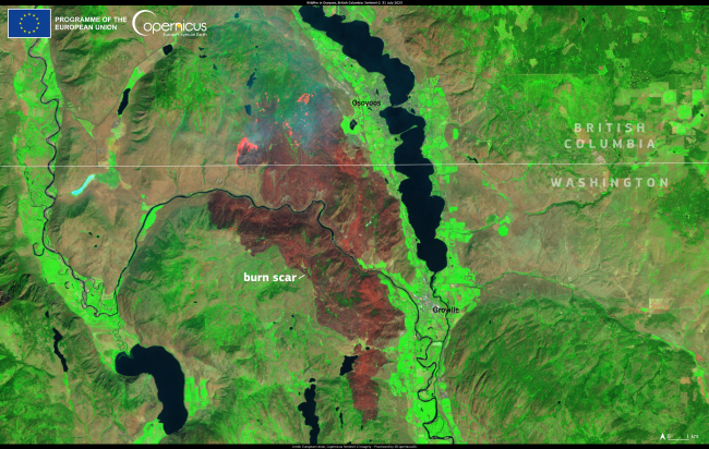 defis_eu's tweet image. #ImageOfTheWeek

According to @CopernicusECMWF, the #CanadaFires have generated record levels of #CarbonEmissions

The fires🔥 have caused enormous forest losses 🌳

⬇️On 31 July, #Sentinel2🇪🇺🛰️captured the aftermath of the #EagleBluffFire