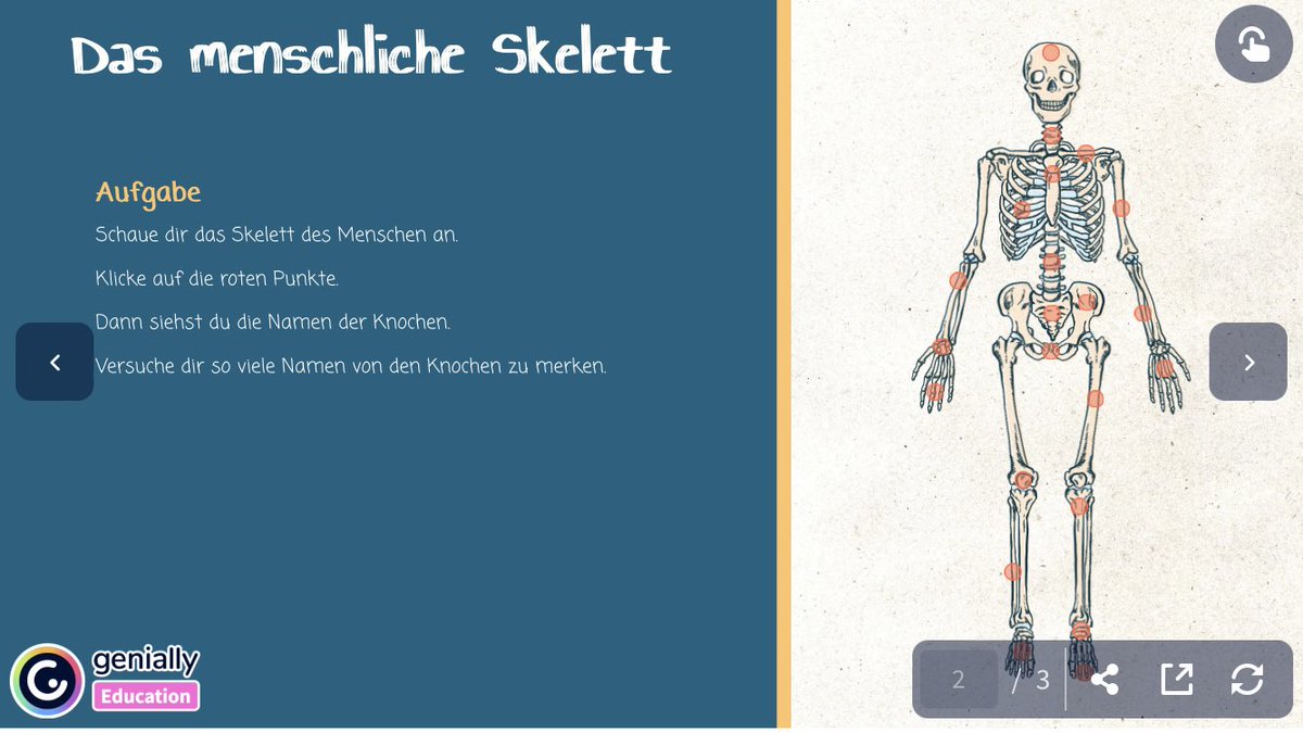 SteffiSopaed tweet media