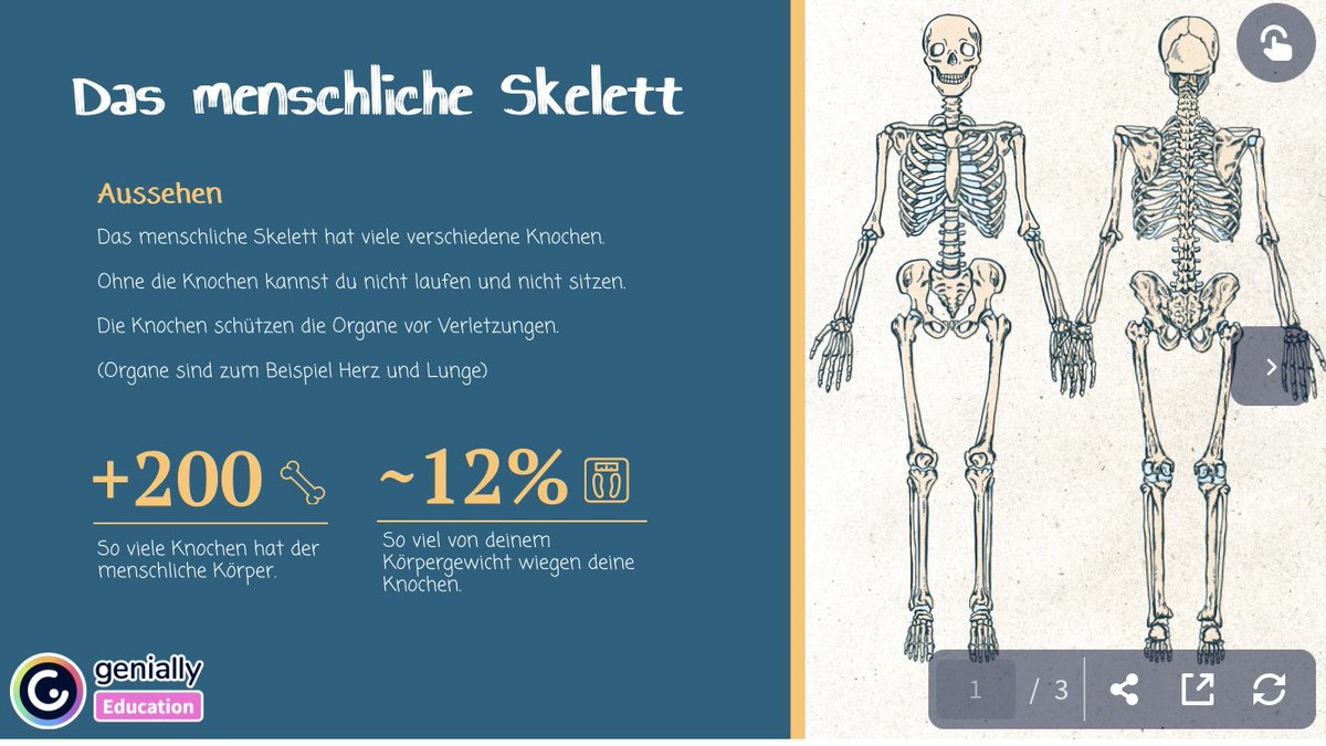 SteffiSopaed tweet media