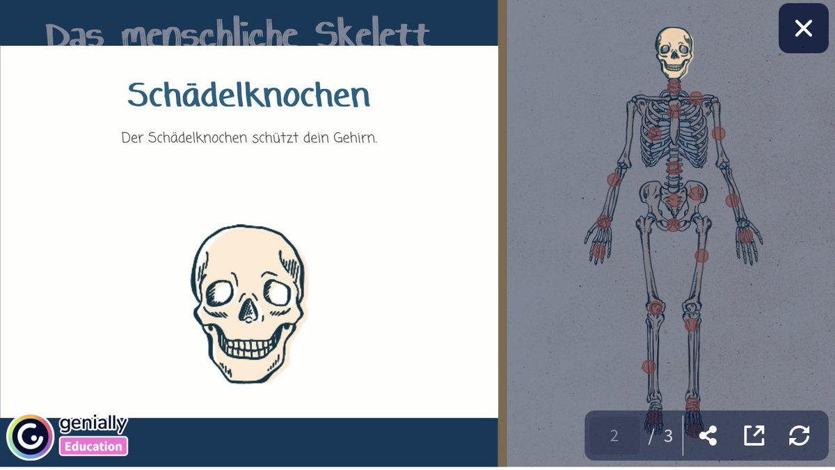 Zufällig auch gerade jemand aus dem #twlz in Klasse 5 #Biologie/Naturwissenschaften unterwegs?! 
#sharingiscaring 
Interaktive Präsentation zum menschlichen Skelett.
#sopaed 
Hier der Link: view.genial.ly/64cd320a33635e…