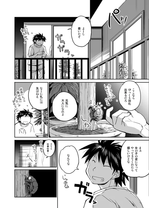 セミの幼虫を助けたら女の子になってやってきた話(2/3) 