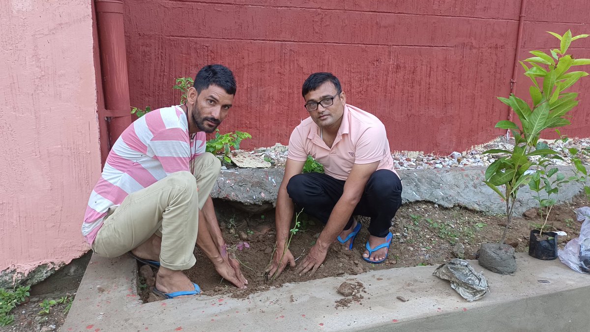 EmrsMallana's tweet photo. ई एम आर एस मल्लाना में वृक्षारोपण करते हुए प्रधानाचार्य , स्टॉफ और बच्चे । https://t.co/gLJ9X6hxtV