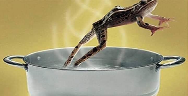 ChinaksOfLagos's tweet photo. STORY THREAD!!!

Put a frog into a vessel fill with water and start heating the water. As the temperature of the water begins to rise, the frog adjust its body temperature accordingly.

The frog keeps adjusting its body temperature with the increasing temperature of the water. https://t.co/pyXKcUqWdT