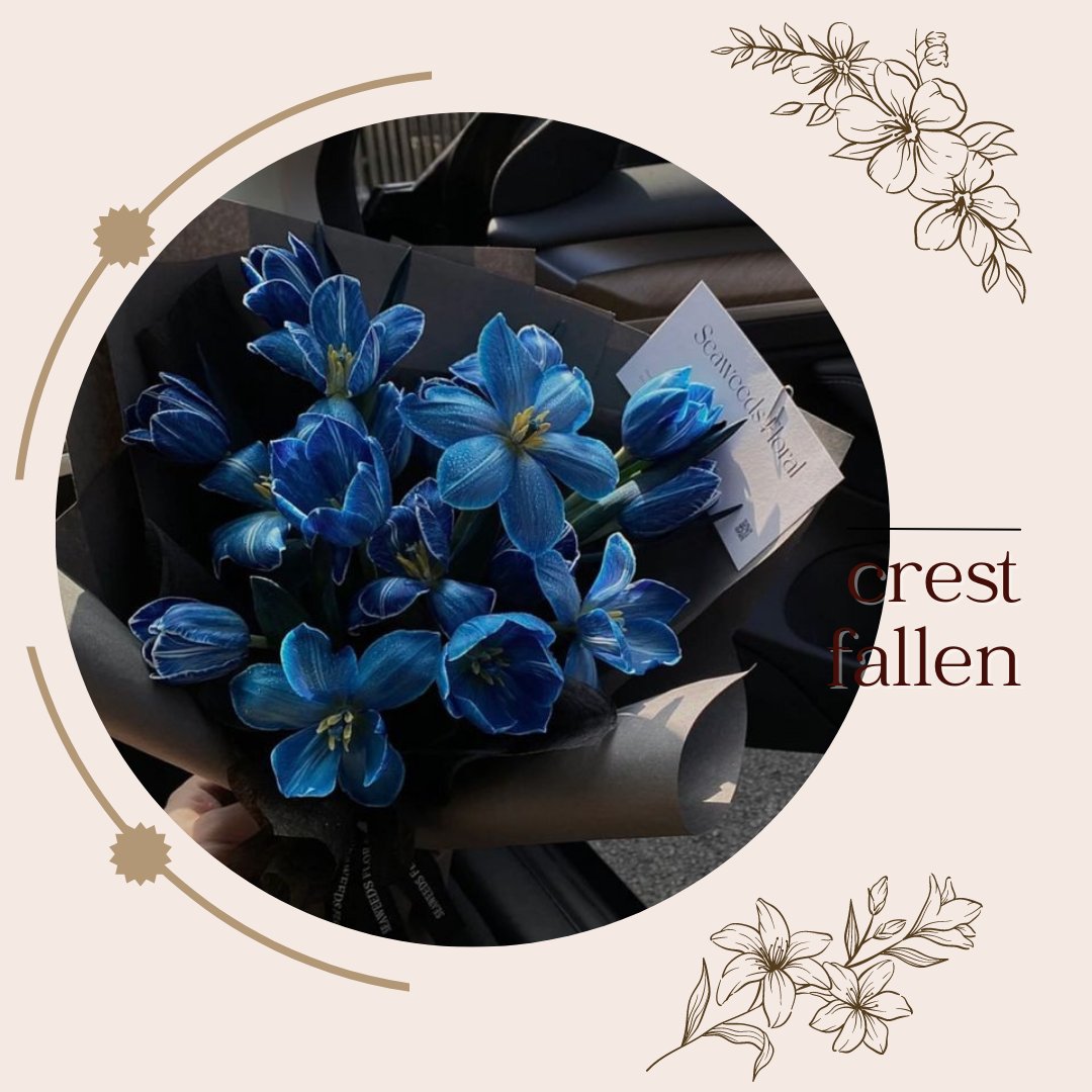 CRESTFALLEN° OPEN tweet media