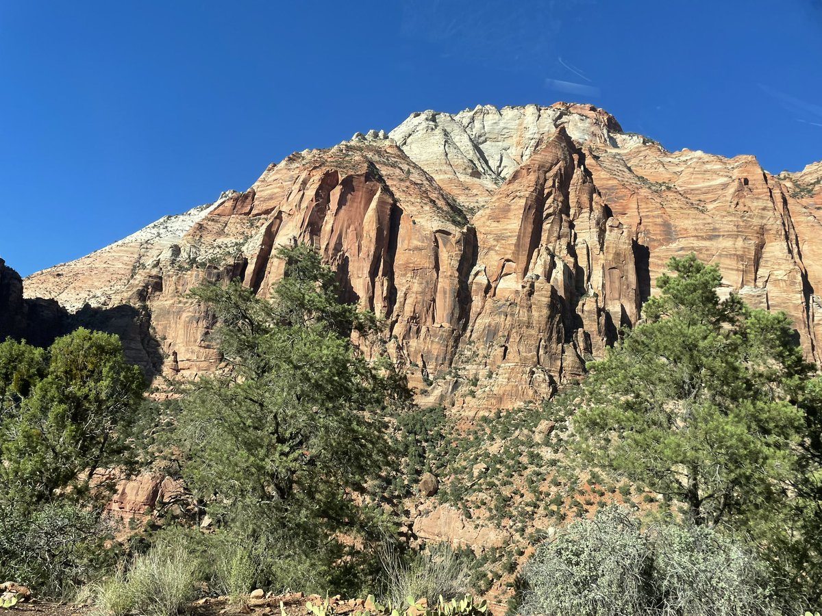drkellypage's tweet photo. #nofilter #mothernature #bestdesignerEVER #zion #nationalpark ๐ https://t.co/Pd8H2tlRzc