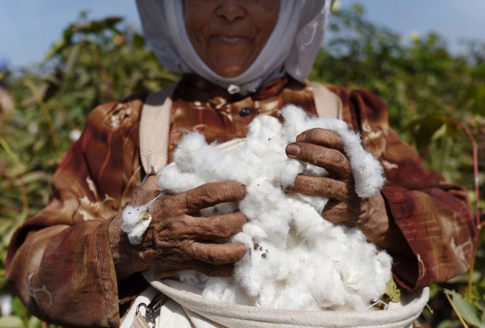 ImagesMagUK's tweet photo. An expansion of the #BetterCottonInitiative programme in Egypt will see renewed collaboration between #BetterCotton and the Cotton Egypt Association (CEA) to help "protect the future of #cotton farming in the country". https://t.co/GsjCEn5vBC #sustainability #sustainablefashion https://t.co/kSPMtYQVsC