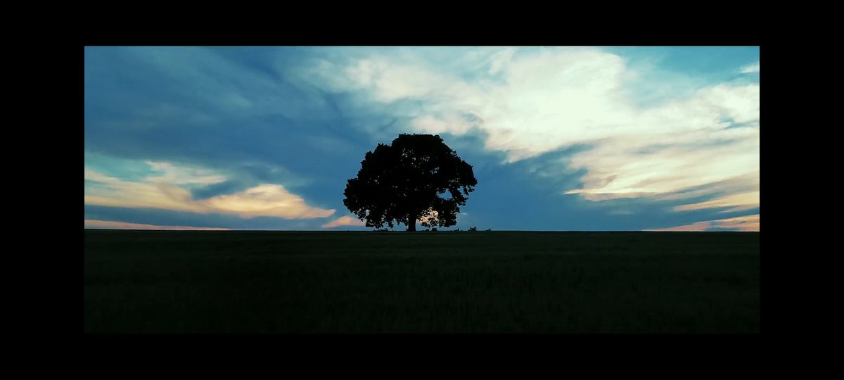 kimmyloey's tweet image. Exo Concept Trailer #Exodeux 

Klo menurutku selama kita ngerti konsep Bumi dan Langit, bulan dan matahari, pohon kehidupan kayaknya trailer ini tuh jd lebih mudah di mengerti. 
youtu.be/tAbyVk1wCtw