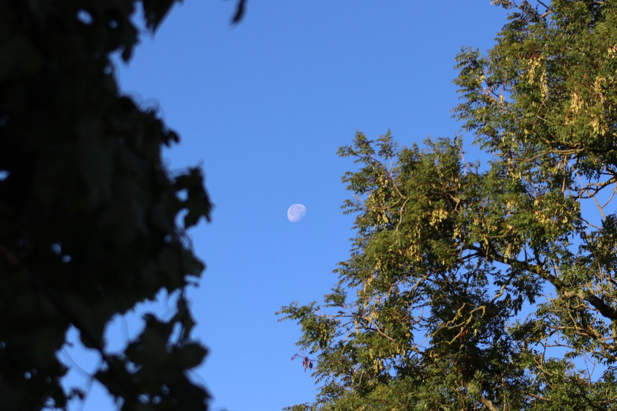 BDuffma's tweet photo. #200daysofwalking blue skies in the #Burren first sighting of #SuperMoon this morning!! #StormAnthony #Augustweekend 2023 https://t.co/DJeeb9t2Ew