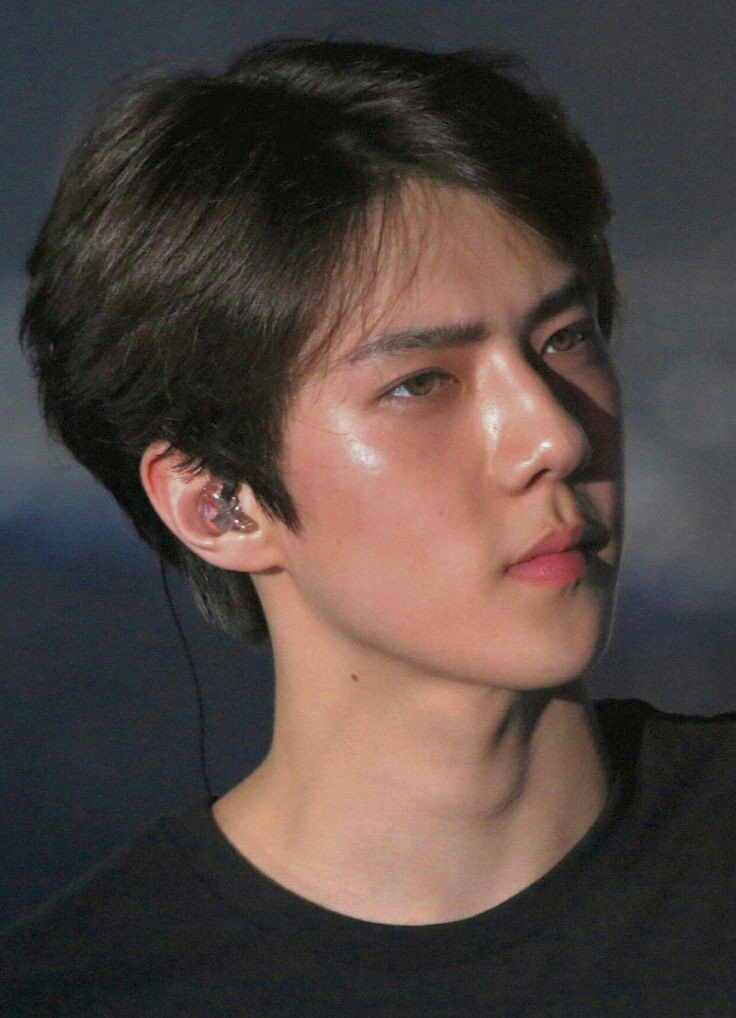 starfess's tweet photo. -star ada ga satu foto (cuma satu ya satu!!) dari idol yang menurut kalian paling ganteng/cantik, yang saking cakep nya tuh jadi bikin deg2an liatnya😭

kalo sender foto sehun yang ini😭 https://t.co/4YCkutzHsg