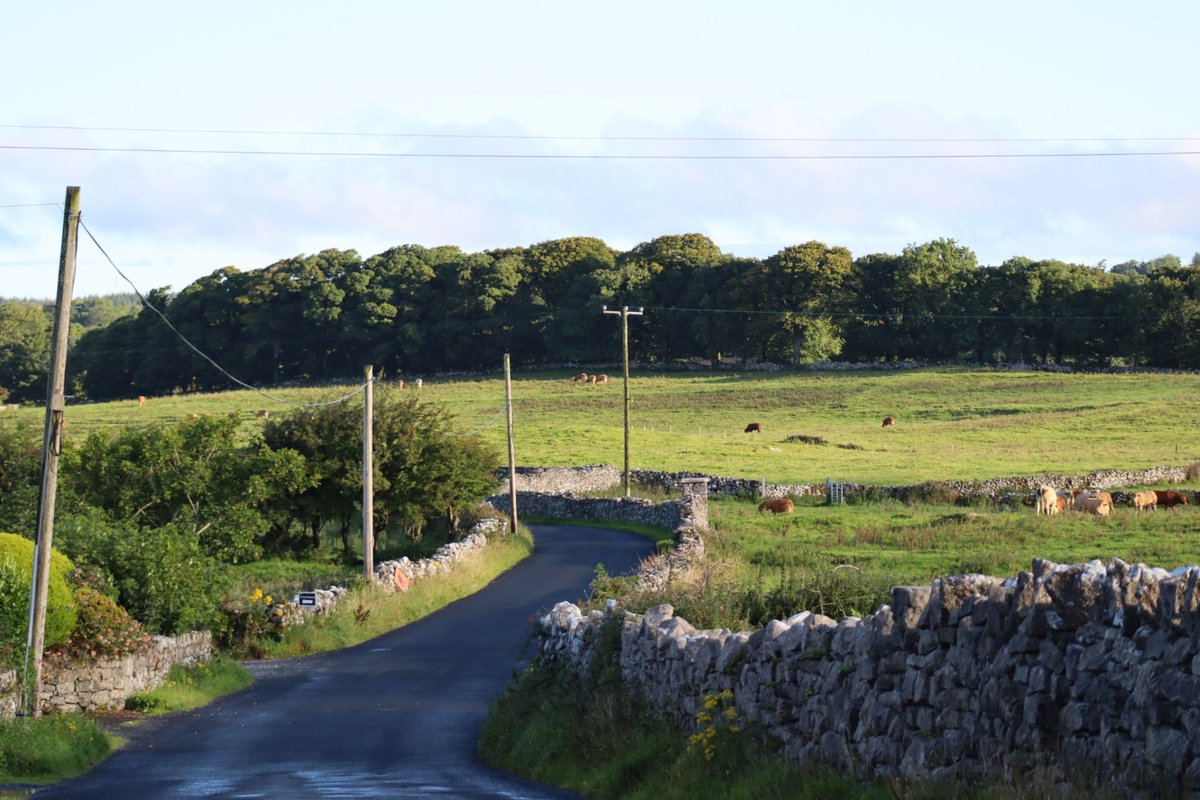 BDuffma's tweet photo. #200daysofwalking blue skies in the #Burren first sighting of #SuperMoon this morning!! #StormAnthony #Augustweekend 2023 https://t.co/DJeeb9t2Ew