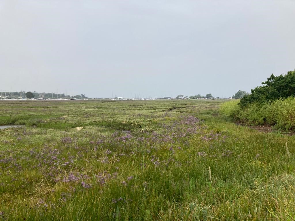 (3/3) We had great, albeit a tad wet, meeting a couple weeks ago with the Isle of Wight Estuaries Protect. The meeting focused on ways to restore and protect the Western Yar. 
Find out more about the project here: iow.gov.uk/isle-of-wight-…
#ClimateChange #SeaLevelRise <a href="/EnvAgencySE/">Environment AgencySE</a>