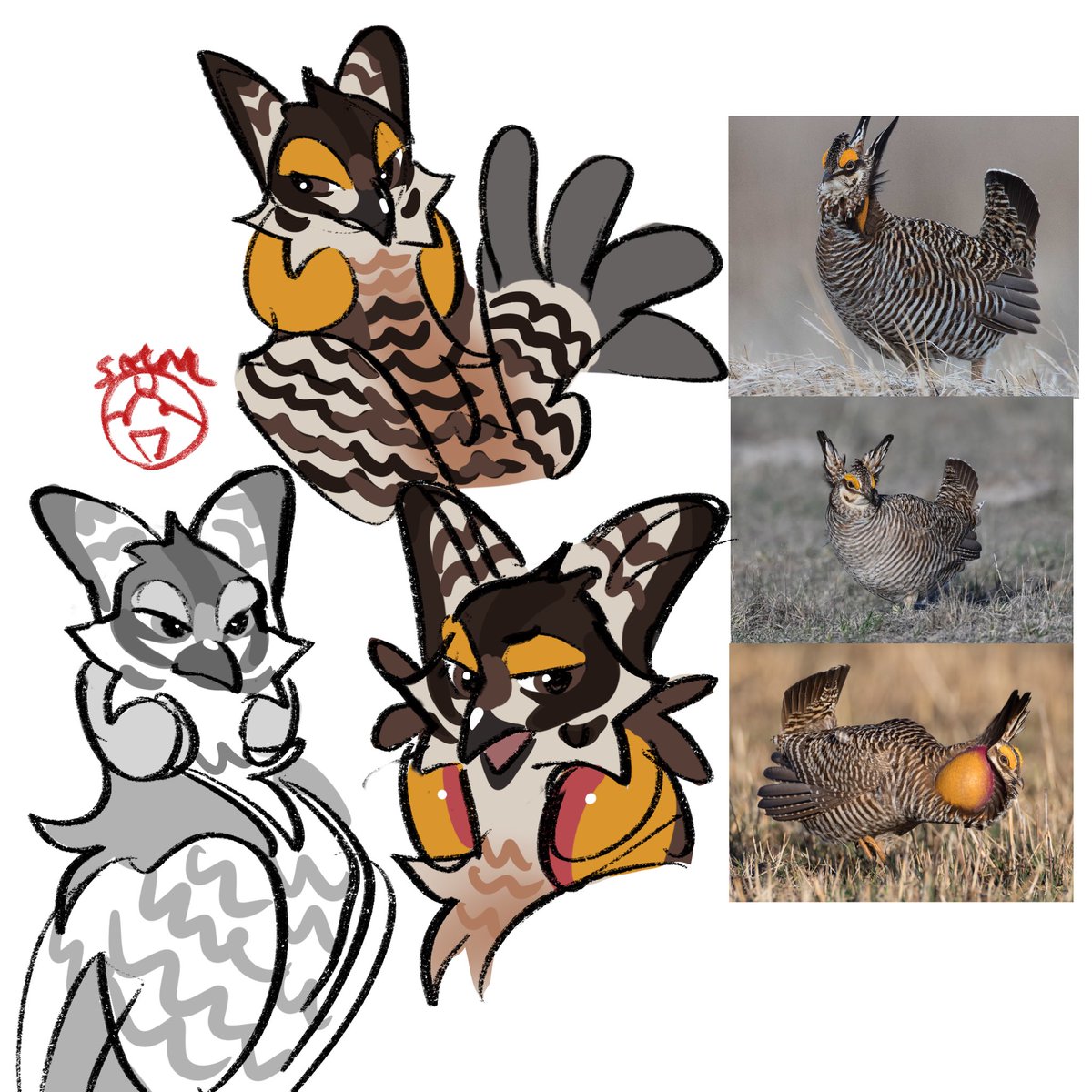 femmby's tweet photo. Quick sketches as I work on other thingd #furry #prairiechicken #furryart #anthro #art https://t.co/Mb4SEIMnQh