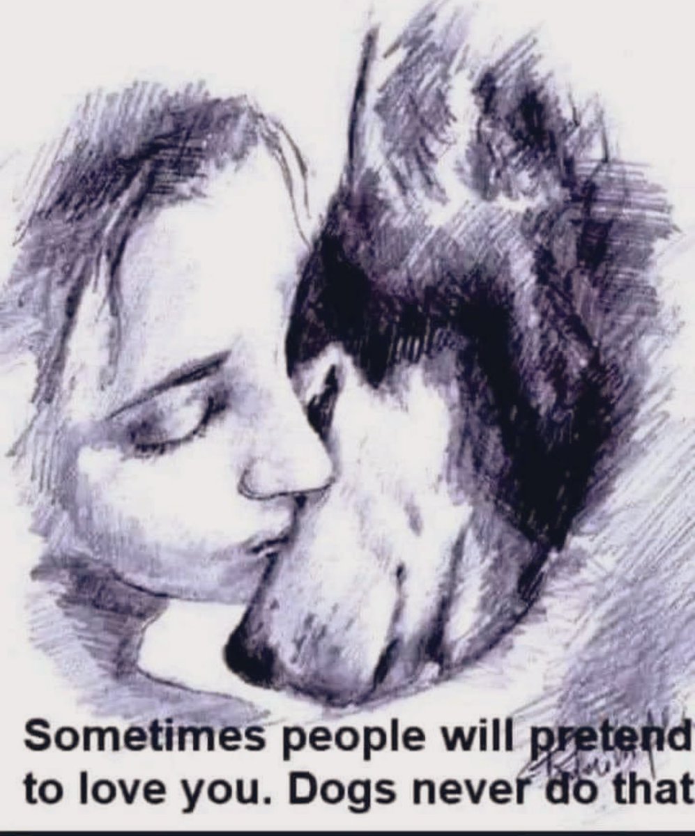 _melopez's tweet image. #husky #dogs