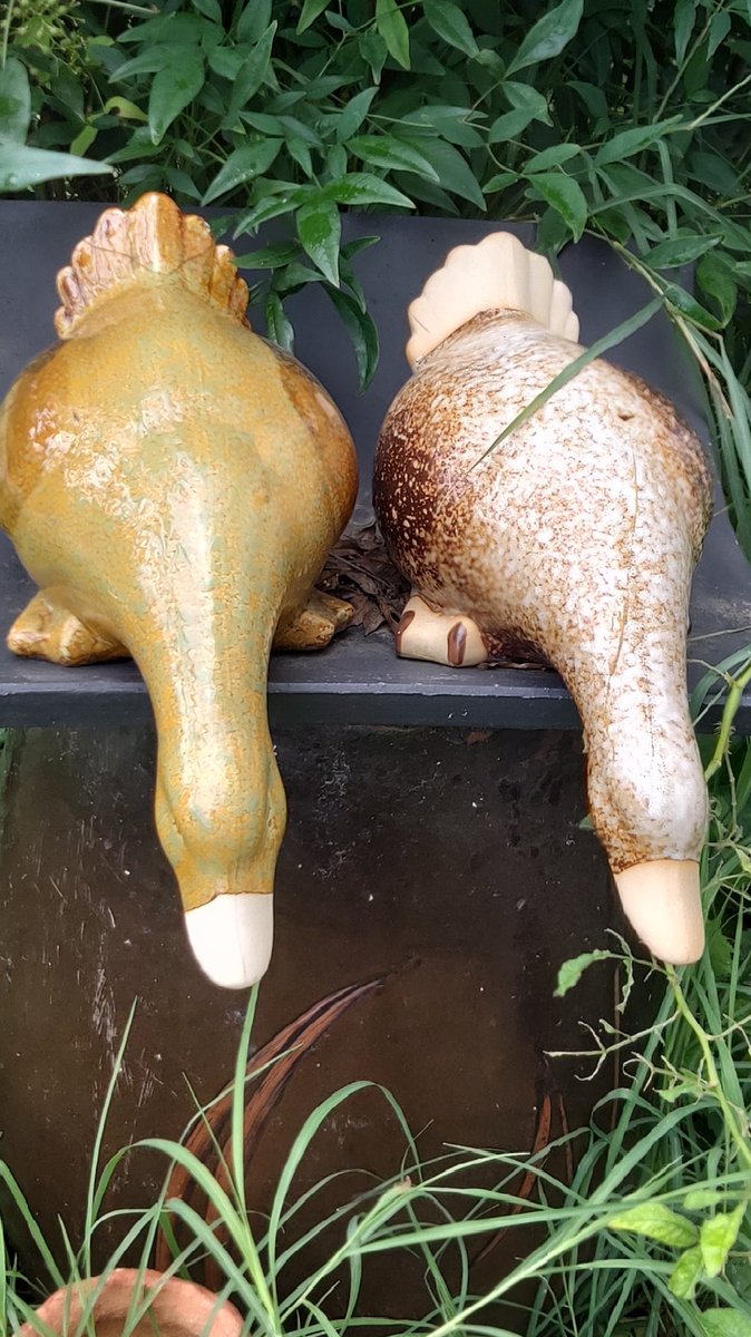 jinay56848313's tweet image. #오리 #소품
#다육농장 #신정호