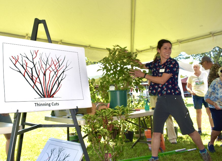 My first technical demonstration at <a href="/CT_CAES/">CAES</a> Plant Science Day this week: Pruning Woody Plants!