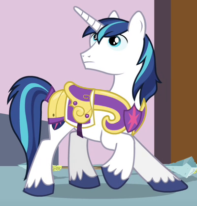 "The burden of keeping Canterlot safe and secure rests squarely on my shoulders."