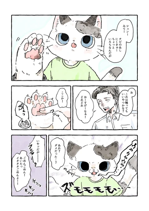 触られるのは嫌なチビ🐈