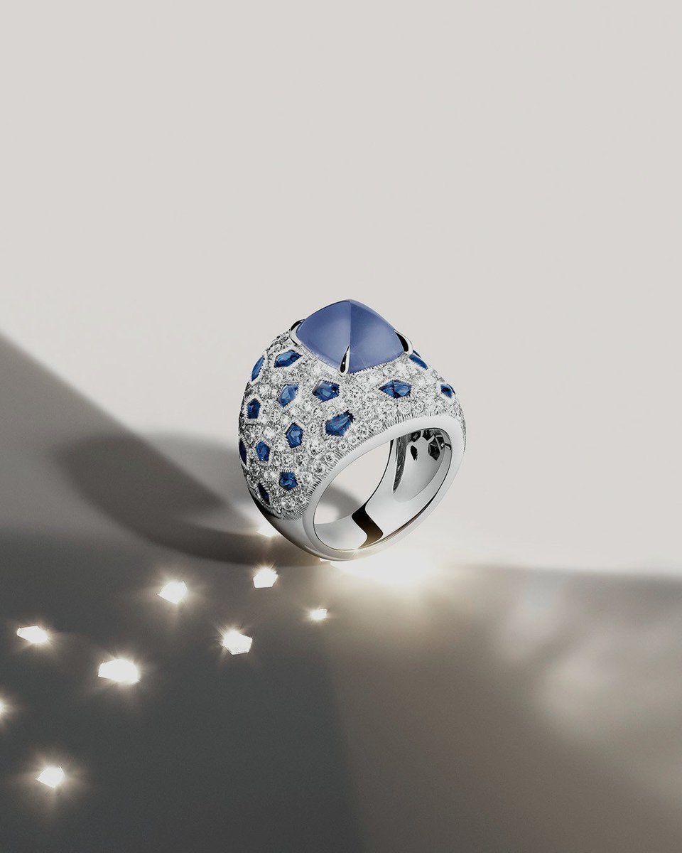 ᅟ ᅟ 
ᅟ 𝖤xude the elegānce ﹠ determın𝗮𝘁ıᨷn
ᅟ* ᅟ o𝒇  ᅟ ᅟtheᅟ  ──ᅟ pantherᅟ ᅟ◝ ᅟᅟᅟᅟ  #PANTHERE𝖣𝖤CARTIER
ᅟ ᅟ