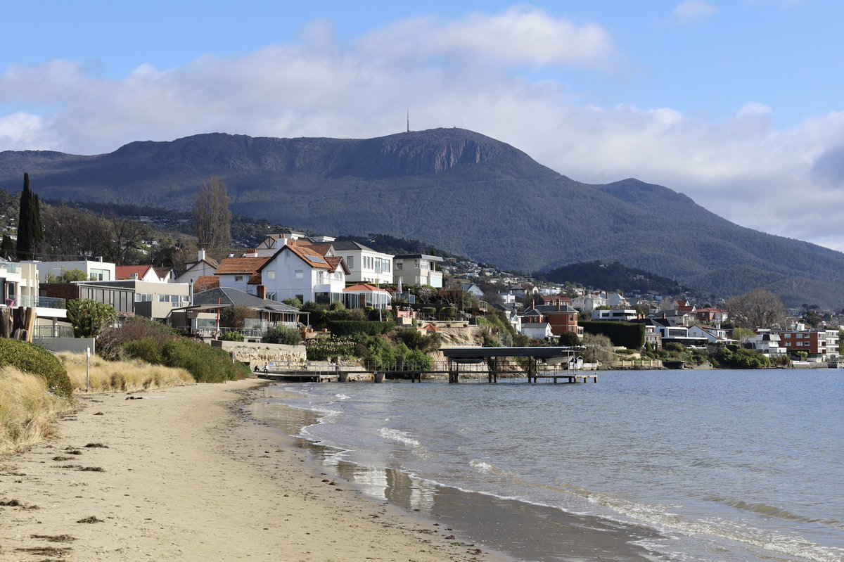 Loretta Lohberger tweet media