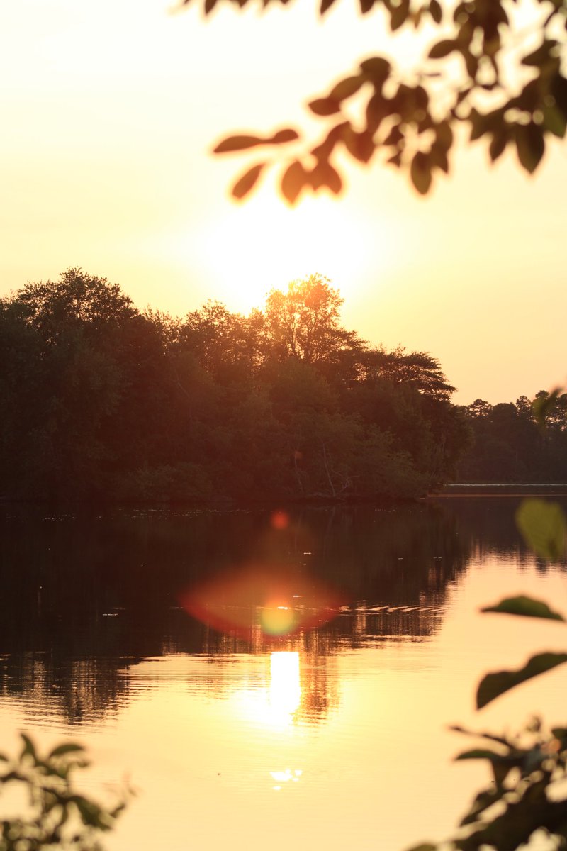 AcyRunway13's tweet photo. Sunlit inspiration
   Ushers apricate writings -
Soulful regeneration...

@7wordspoet #apricate 
#7wordspoet #poetry 
#writingprompt https://t.co/4XmBsSbY52