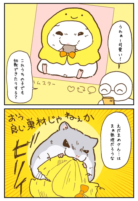 ハムスターは型にハマらない 