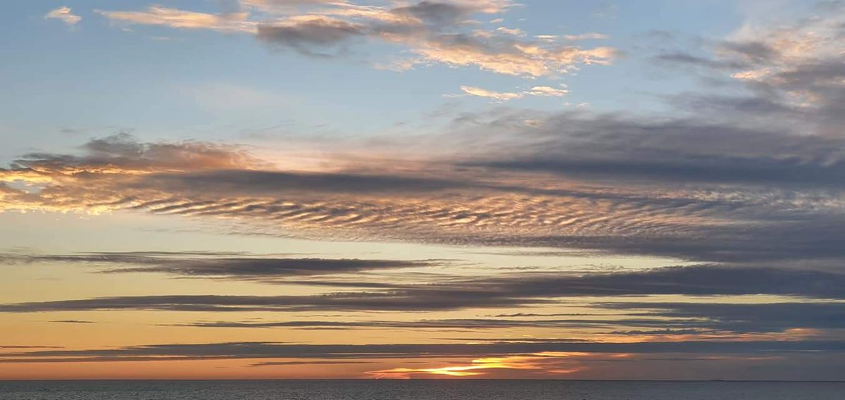 Havenlust's tweet photo. A, B, C or D? https://t.co/b9EaKoyGs5
