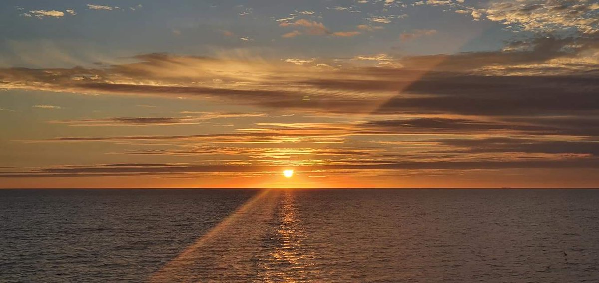 Havenlust's tweet photo. A, B, C or D? https://t.co/b9EaKoyGs5