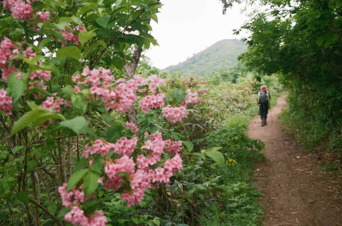 koga (@koga_foto) on Twitter photo 