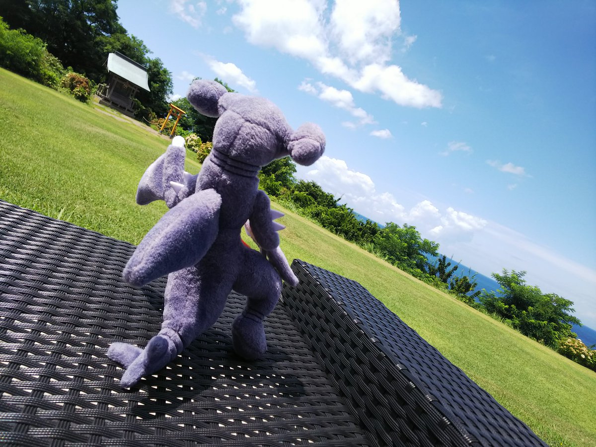 ajigasa1988's tweet photo. 今朝チェックアウトされた小さなお客様～～‼️‼️
ガブリアス様はご主人様がいなくても当館を楽しんでいらっしゃいますので、心配しないでご旅行をお楽しみください‼️‼️✨
本日午後にヤマト運輸さんで発送させていただきます‼️😂👍️ https://t.co/gIZmfempay