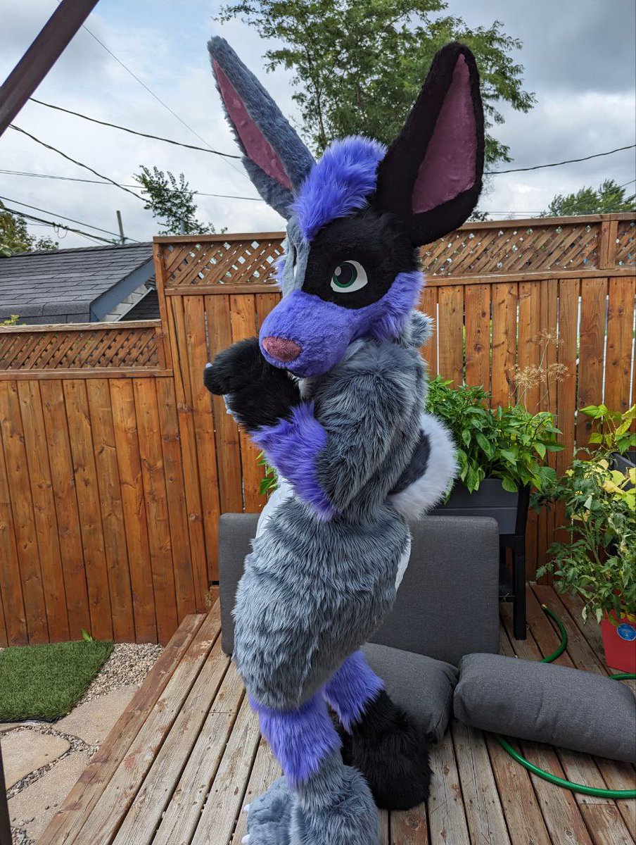 PausePlay🔜 FE tweet media