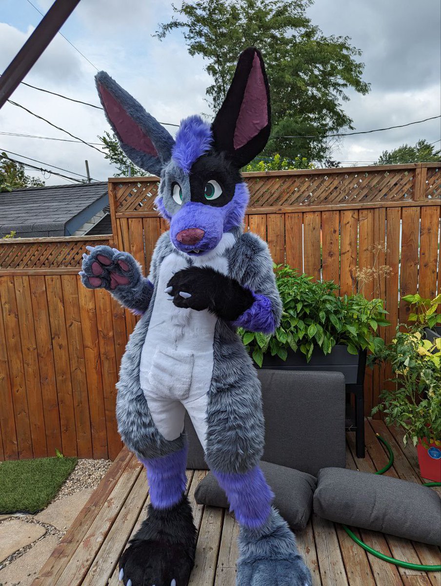 PausePlay🔜 FE tweet media