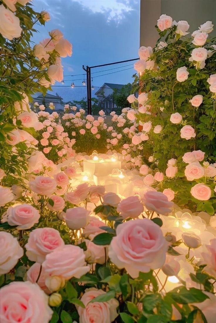 lIlanonymouslIl's tweet photo. #วอลเปเปอร์ #wallpapers #วอลเปเปอร์ไอโฟน #วอลเปเปอร์มือถือ #รูปหน้าจอ #รูปหน้าจอมือถือ #รูปHD #วอลคู่ #รูปคู่ #รูปหน้าจอคู่
ฝาก follow ด้วยนะครับ ❤️ https://t.co/8FejrcTb17