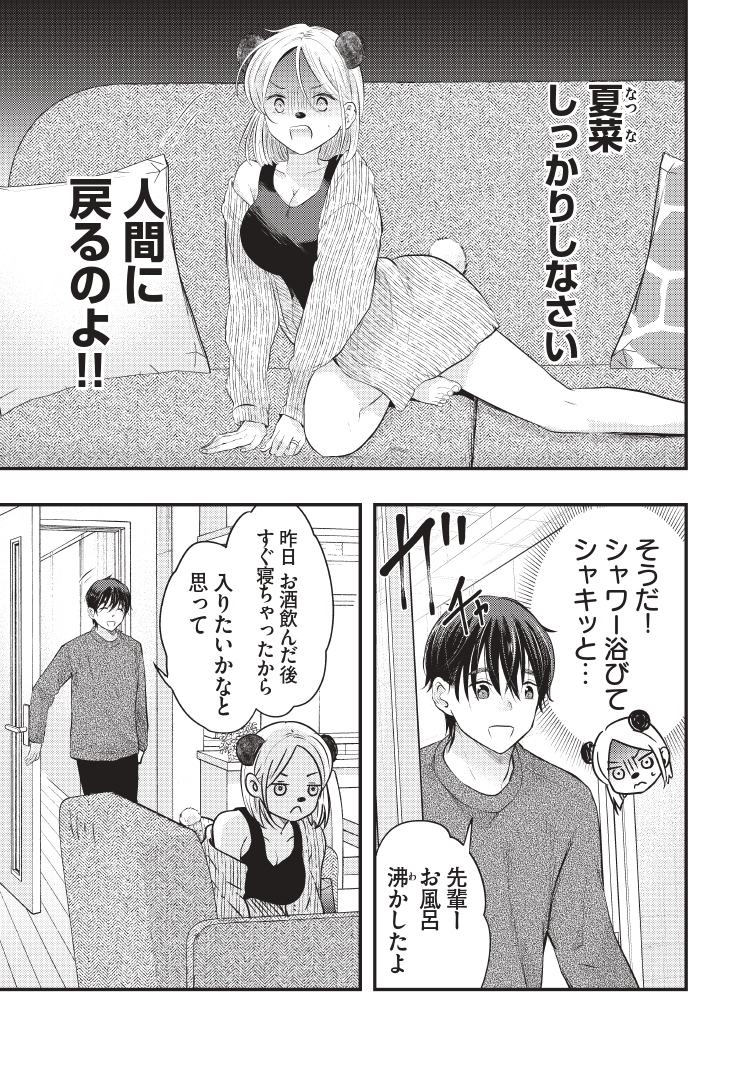(3/3)