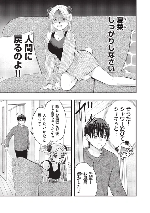 (3/3)
