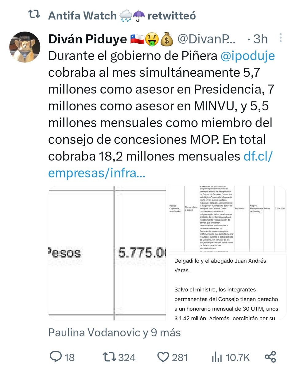 AuroraArayaM's tweet image. 